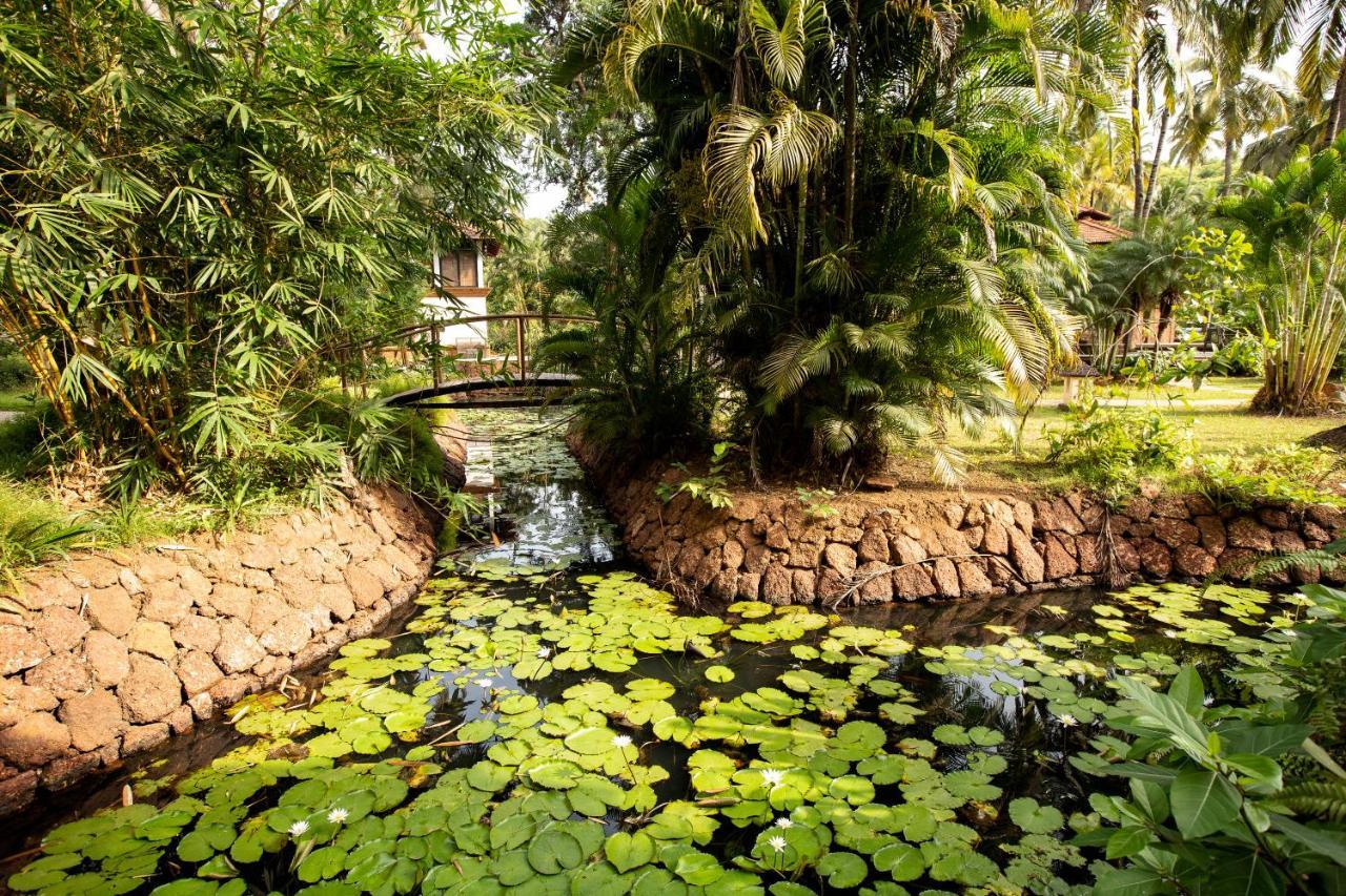 Coconut Creek Resort - Dabolim Airport Mormugao Экстерьер фото